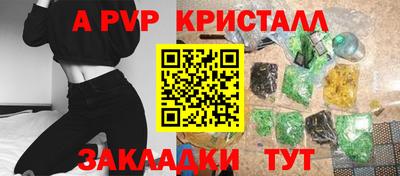 крисы Камышлов