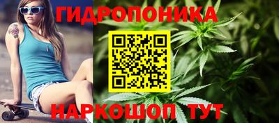 крисы Камышлов