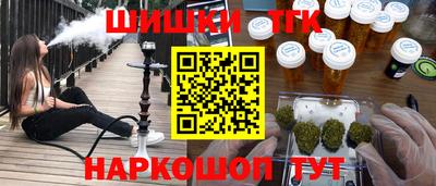 крисы Камышлов