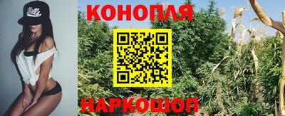 крисы Камышлов