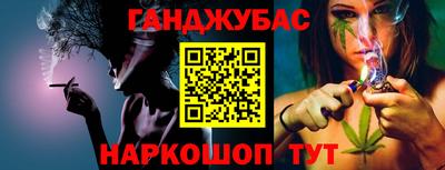 крисы Камышлов