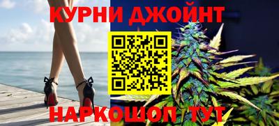 крисы Камышлов